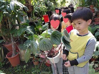 艾菲爾家幼兒幼兒幼兒參觀園藝店