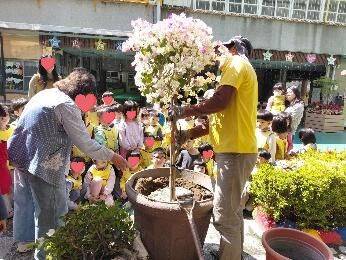 艾菲爾家幼兒幼兒幼兒種樹仔節ㄟ日子，透過栽種了解種樹仔ㄟ過程