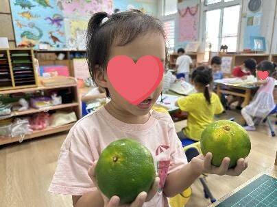 維多利亞家幼兒幼兒幼兒一隻很餓的毛蟲,在變成蛹之前吃了各式各樣的食物,後來變成蝴蝶的故事,從一個小小的蛋,在月光下躺在樹葉上開始,從蛋殼中孵化,是一條又瘦又餓的毛毛蟲114年