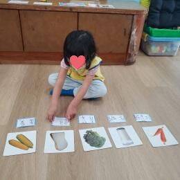 艾菲爾家幼兒幼兒幼兒操作文字與圖卡配對
